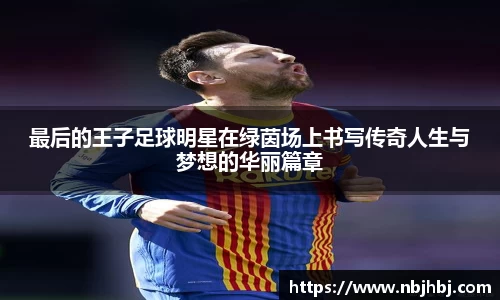 BB贝博官网